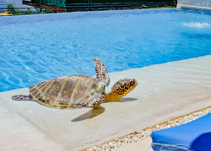 Villa del Pescador Zihuatanejo